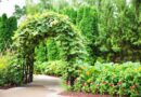 Jak zbudować piękną pergolę w ogrodzie – poradnik krok po kroku
